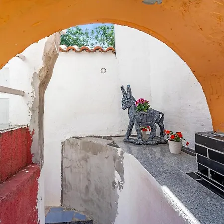 Pet Friendly In * Sibenik